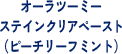 オーラツーミーステインクリアペースト（ピーチリーフミント）